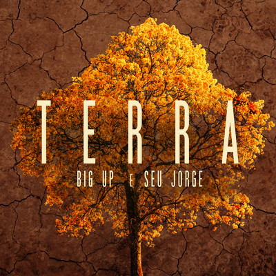 シングル/Terra/Big Up／セウ・ジョルジ