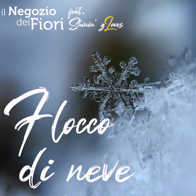 アルバム/Flocco di Neve (feat. Shinin' gLoves)/Il Negozio Dei Fiori