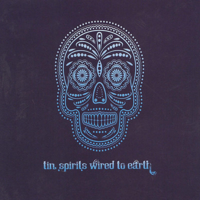 Wired To Earth/Tin Spirits
