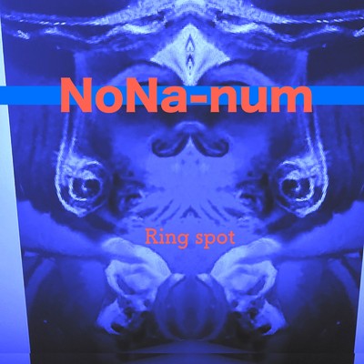 NoNa-Num