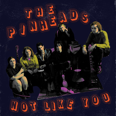 シングル/Not Like You/The Pinheads