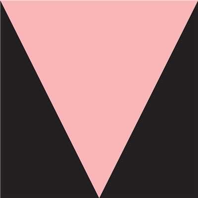 Don't Disturb This Groove/Meshell Ndegeocello