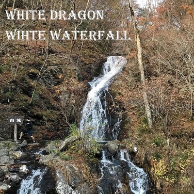 wihte waterfall/white dragon