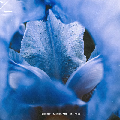 Fiori Blu (feat. Sarajane) [Stripped Version]/Colzani