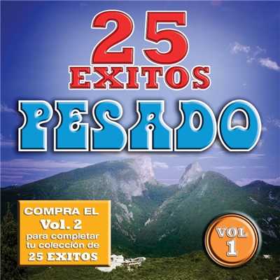 アルバム/25 Exitos Pesados (Vol. 1) (USA)/Pesado