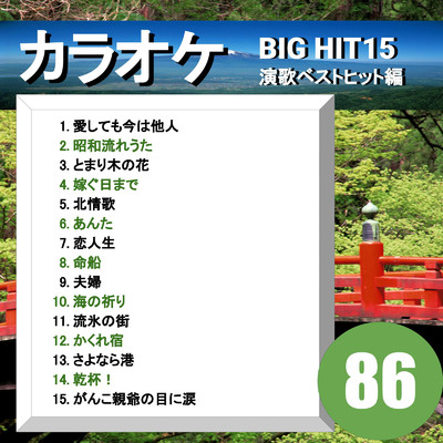アルバム/カラオケ BIG HIT 15 演歌ベストヒット編86/CTA カラオケ