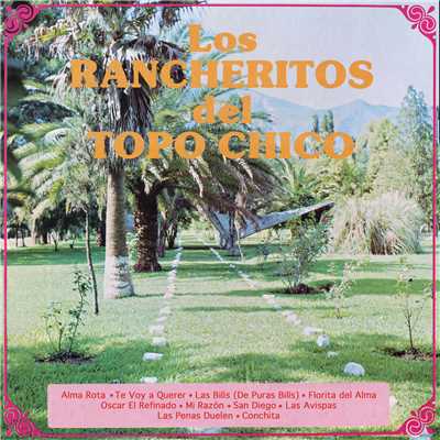 Alma Rota (Ranchera)/Los Rancheritos Del Topo Chico
