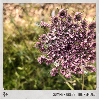 Summer Dress (Amtrac Remix)/R Plus & Dido