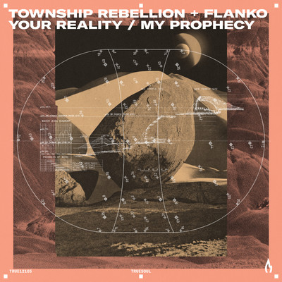 Your Reality ／ My Prophecy (Extended Mix)/Township Rebellion & Flanko