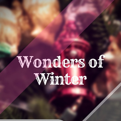 Wonders of Winter/Dr Rahul vaghela