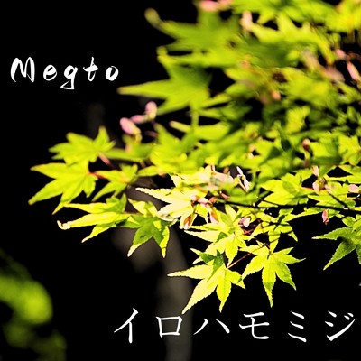 イロハモミジ/Megto