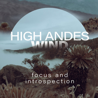 アルバム/High Andes Wind: Focus And Introspection/White Sounds
