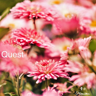 シングル/Quest/Otomizu