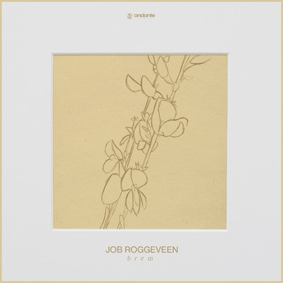 シングル/Brem/Job Roggeveen