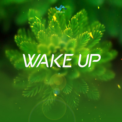 アルバム/Wake Up/NS Records