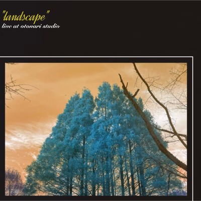 landscape (live at otonari studio)/Natsukawa
