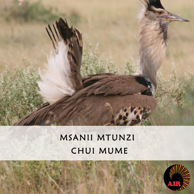 Mlango Ule/Msanii Mtunzi