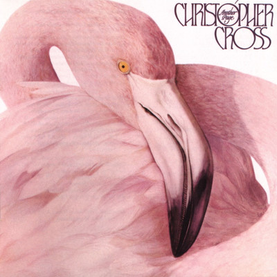 What Am I Supposed to Believe (2019 Remaster)/Christopher Cross