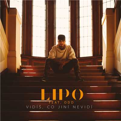 Vidis, co jini nevidi (featuring ODD)/Lipo