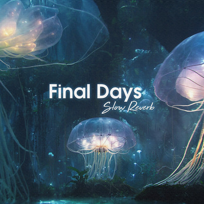 Final Days (Slow Reverb)/miniz