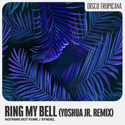Ring My Bell (YOSHUA JR. Remix )/Nothing But Funk & Syndel