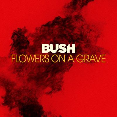 Flowers On A Grave/Bush