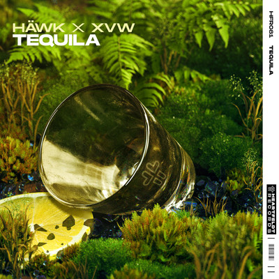 Tequila/HAWK x Max Niklas