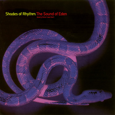 The Sound Of Eden (Every Time I See Her)/Shades Of Rhythm