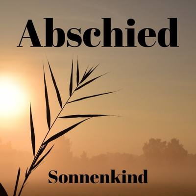 アルバム/Abschied/Sonnenkind
