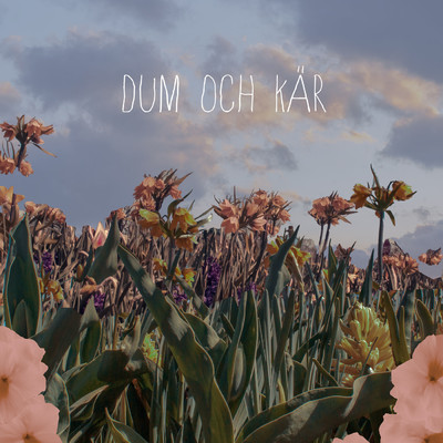 シングル/Dum och kar/GAMMAL