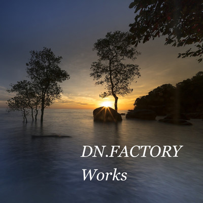 アルバム/DN.FACTORY Works/Various Artsits