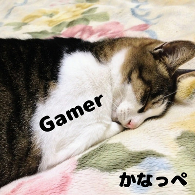 Gamer/かなっぺ
