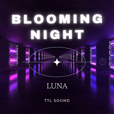 シングル/Blooming Night(New Mix Instrumental)/TTL SOUND