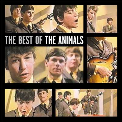 アルバム/The Best of the Animals/アニマルズ