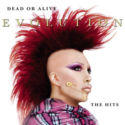 アルバム/Evolution: The Hits/Dead Or Alive