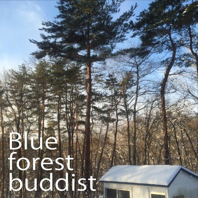 Blue forest buddist