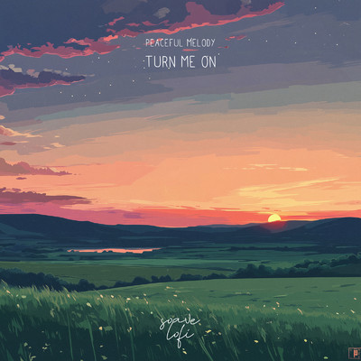 シングル/Turn Me On/Peaceful Melody