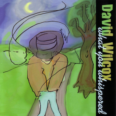 On Your Way Back Down/David Wilcox