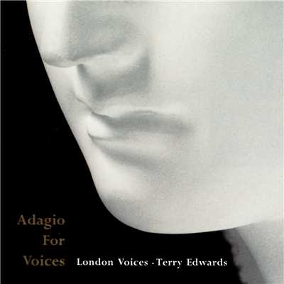Adagio for Voices/ロンドン・ヴォ／テリー・エドワーズ