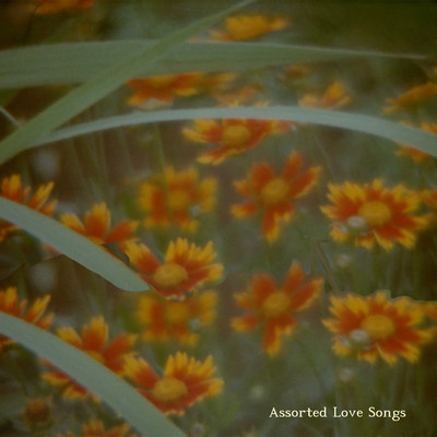 Assorted Love Songs/Theo Martins／Cereal & Such