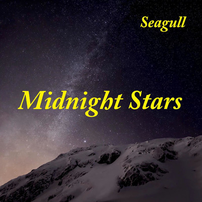 Midnight Stars/seagull