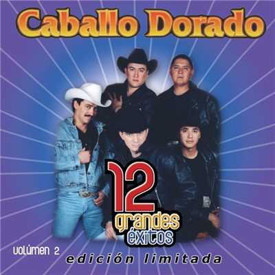 アルバム/12 Grandes exitos Vol. 2/Caballo Dorado