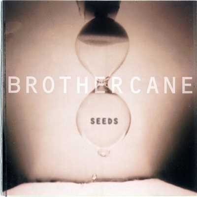 Seeds/Brother Cane