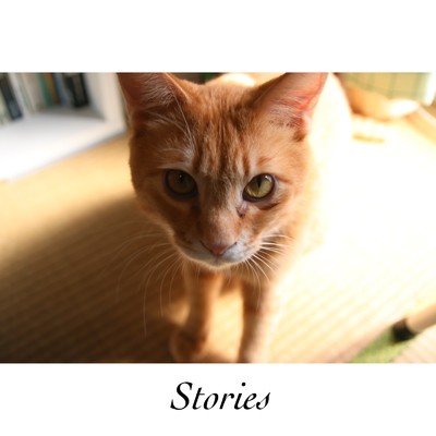 Stories/四元壯