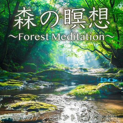 アルバム/森の瞑想 〜Forest Meditation〜 癒しのアンビエントピアノ音楽 睡眠導入リラックスBGM/DJ Meditation Lab. 禅