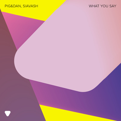 What You Say (Extended Version)/Pig&Dan & Siavash