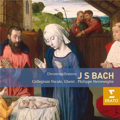 アルバム/Bach: Christmas Oratorio, BWV 248/Philippe Herreweghe