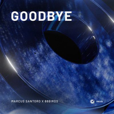 Goodbye/Marcus Santoro x 88Birds