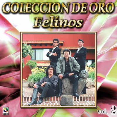 アルバム/Coleccion de Oro, Vol. 2/Los Felinos