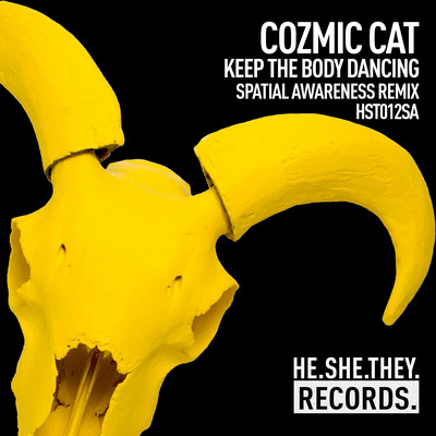 Keep The Body Dancing (Spatial Awareness Remix) [EDIT]/Cozmic Cat